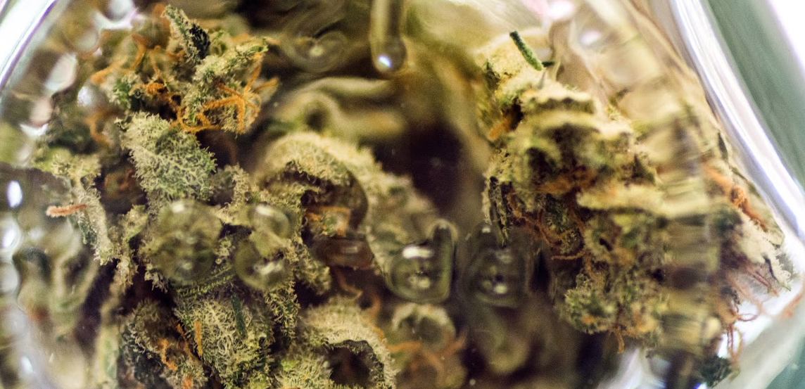 Greenworks Cannabis - Greenwood