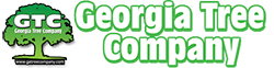 Georgia Tree Company