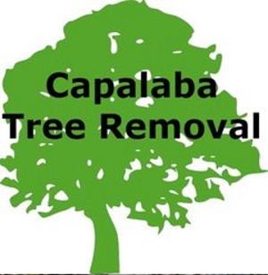 Tree Lopping Brisbane Southside