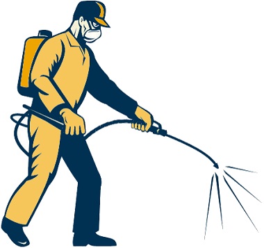 Pest Control Brisbane