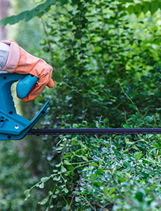  Greencoat Gardeners || 07776 097961