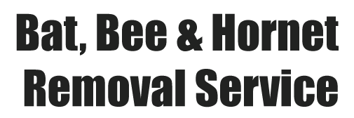 Bat, Bee & Hornet Removal Service