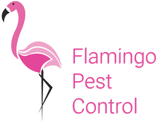 Flamingo Pest Control - St Augustine