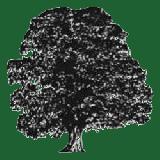 The Garden Maintenance Company