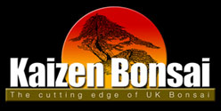 Kaizen Bonsai Ltd