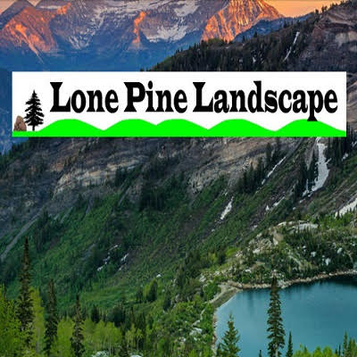 Lone Pine Landscape
