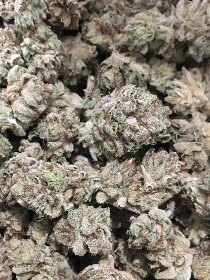 Balboa Ave Cooperative