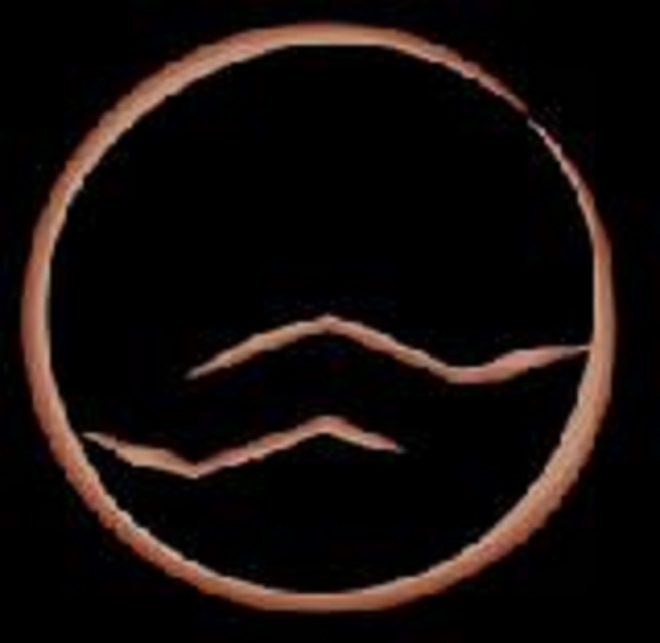 Sasha Reiko Photography