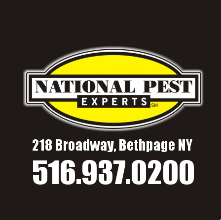 National Pest Experts