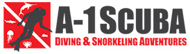 A-1 Scuba Diving & Snorkeling Adventures
