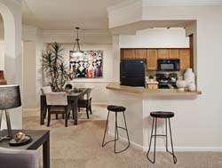 Camden South Bay Apartments