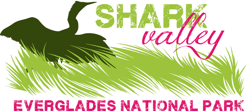 Shark Valley Tram Tours