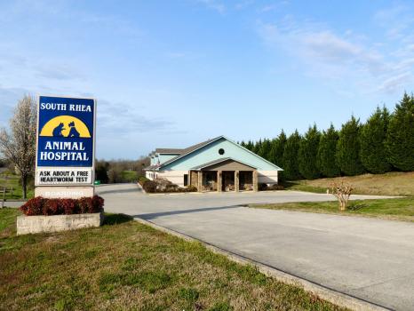 South Rhea Animal Hospital