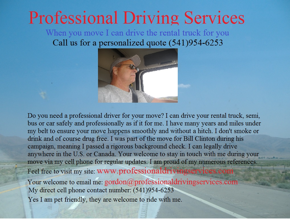 Professional Driving Services