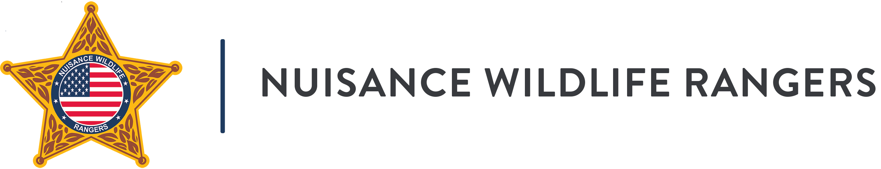 Bee Removal West Palm