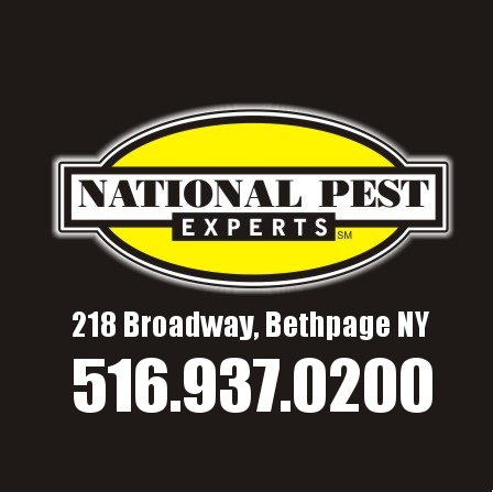 National Pest Experts