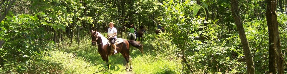 Whispering Woods Riding Stables