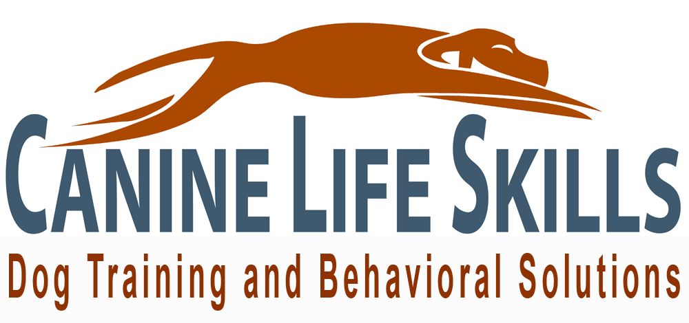 Canine Life Skills