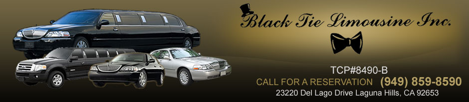 Black Tie Limousine Inc.