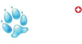 Morinville Veterinary Clinic