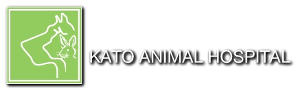 Kato Animal Hospital
