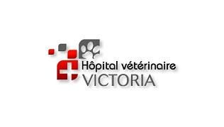 Hopital Vétérinaire Victoria