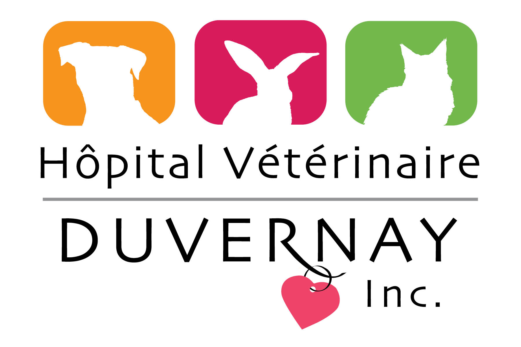 Hôpital Vétérinaire Duvernay