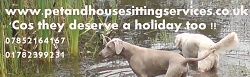 Pet & House Sitting Services