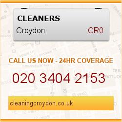 Cleaning Services Croydon