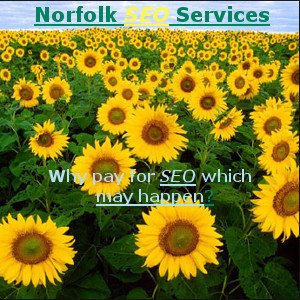 Norfolk SEO Services