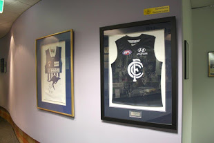 The Melbourne Sports Medicine Centre