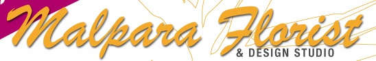 Malpara Florist