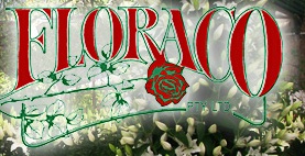Floraco Wholesale Flowers Perth