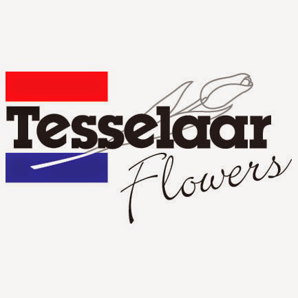 Tesselaar Flowers - Brisbane