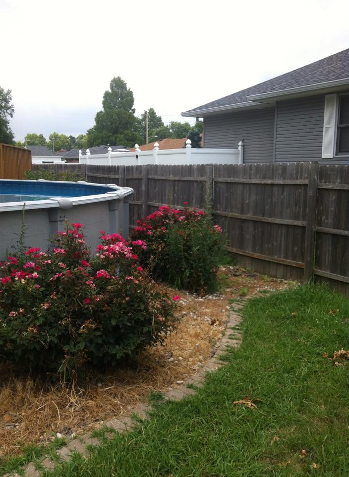 Mance Outdoor Solutions