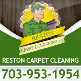 Tulip Carpet Cleaning of Reston