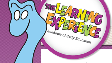 The Learning Experience