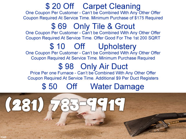 Rosenberg Carpet Cleaning Service