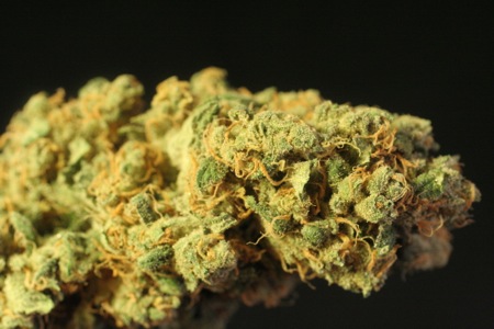 Helping Hands Herbals