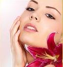 Courtyard Aesthetics