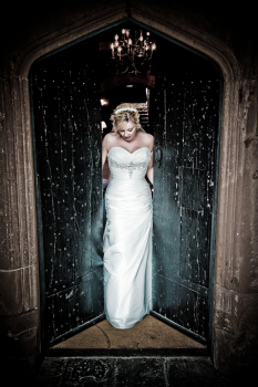 Dave Perry Photography