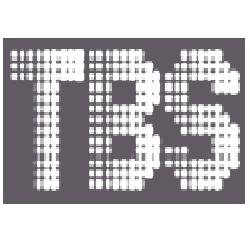 Tru-Steam Boilers & Service