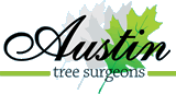 Austin Tree Surgeons