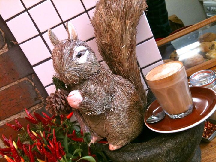 Iris and the Secret Squirrel