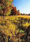 Photography Classes Darien