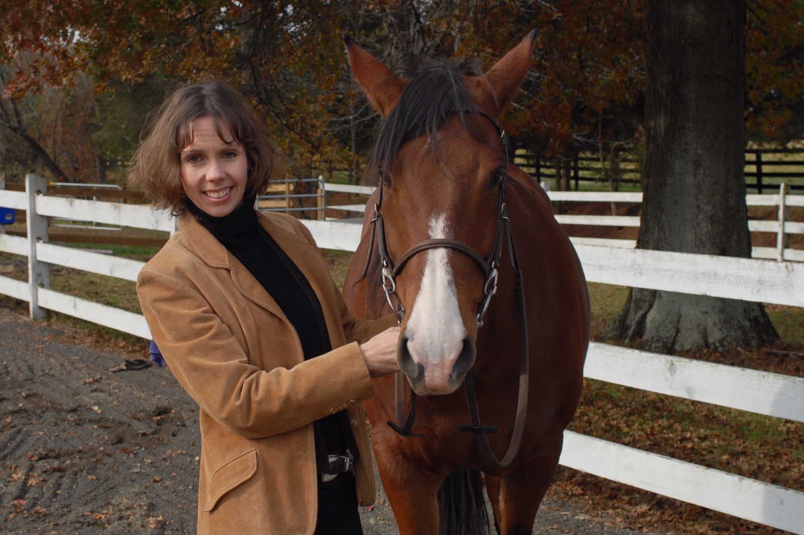 Cindy Stys Equestrian & Country Properties Ltd