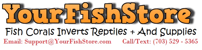 YourFishStore