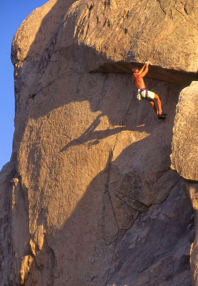 Climbing joshua tree