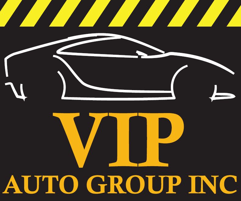 Vip auto group inc