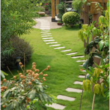 Patriot Landscape Design